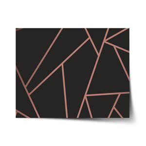 Plakát Růžové obrazce - 120x80 cm