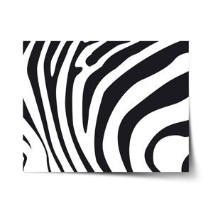 Plakát Vzor zebry - 120x80 cm
