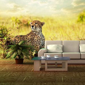 Tapeta Gepard - 125x75 cm