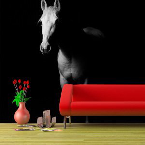 Tapeta Kůň ve stínu - 125x75 cm