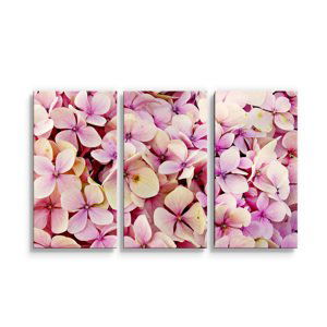 Obraz - 3-dílný Růžové květy - 120x80 cm