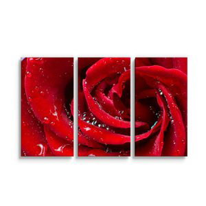 Obraz - 3-dílný Růže - 120x80 cm