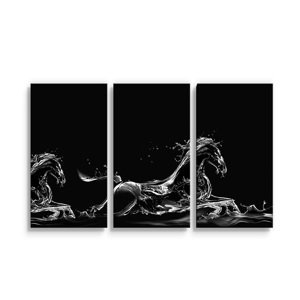 Obraz - 3-dílný Vodní kůň - 120x80 cm