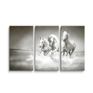 Obraz - 3-dílný Bílí koně - 120x80 cm