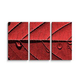 Obraz - 3-dílný Červený list - 120x80 cm