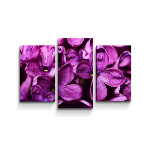Obraz - 3-dílný Fialové květy - 75x50 cm