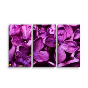 Obraz - 3-dílný Fialové květy - 120x80 cm