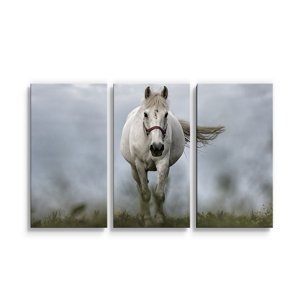 Obraz - 3-dílný Bílý kůň 3 - 120x80 cm