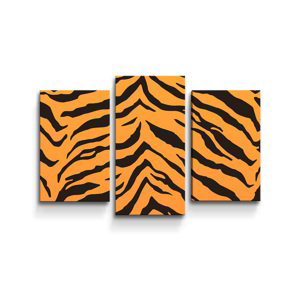 Obraz - 3-dílný Tygří vzor - 75x50 cm
