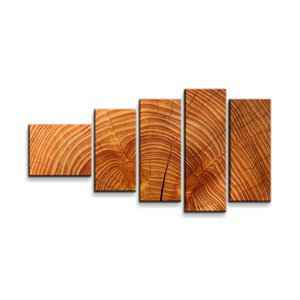 Obraz - 5-dílný Dřevo 2 - 100x60 cm