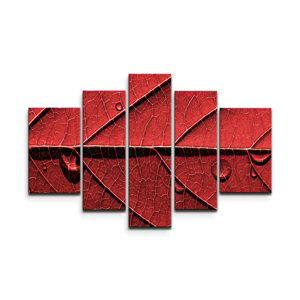 Obraz - 5-dílný Červený list - 125x90 cm
