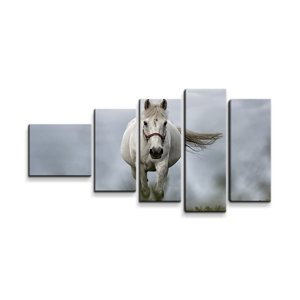 Obraz - 5-dílný Bílý kůň 3 - 100x60 cm