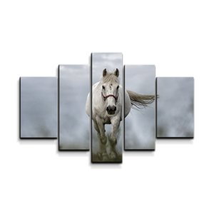 Obraz - 5-dílný Bílý kůň 3 - 125x90 cm