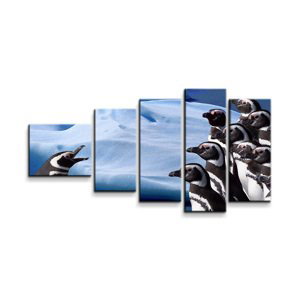 Obraz - 5-dílný Tučňáci - 100x60 cm