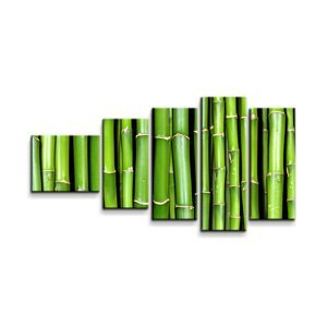 Obraz - 5-dílný Bambus - 100x60 cm