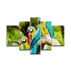 Obraz - 5-dílný Papoušci na větvi - 125x90 cm