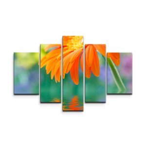 Obraz - 5-dílný Oranžová gerbera - 125x90 cm
