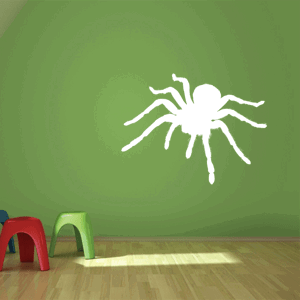 Pavouk - 70x50 cm