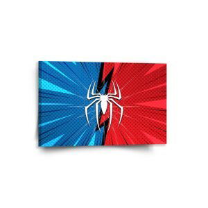 Obraz Spider - 60x40 cm