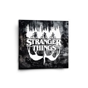 Obraz Stranger Things White - 50x50 cm