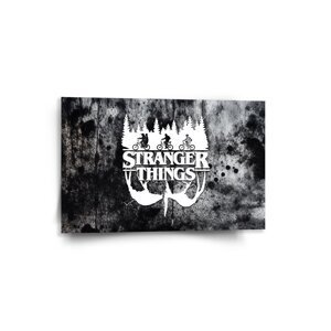 Obraz Stranger Things White - 60x40 cm