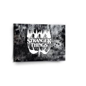 Obraz Stranger Things White - 90x60 cm