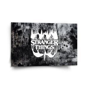 Obraz Stranger Things White - 120x80 cm