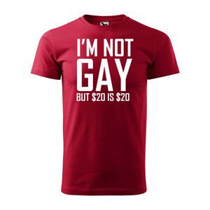 Tričko s potiskem I'm not gay, but... - červené 3XL