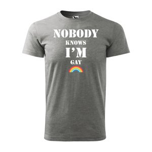 Tričko s potiskem Nobody knows I'm gay - šedé 3XL