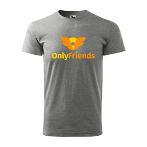 Tričko s potiskem Only Friends - šedé 2XL