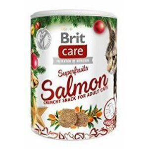 Brit Care Cat Christmas Superfruits 100 g