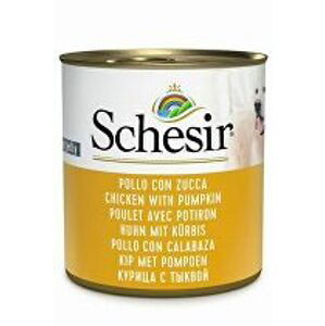 Schesir Dog konz. Adult kuře/dýně 285g