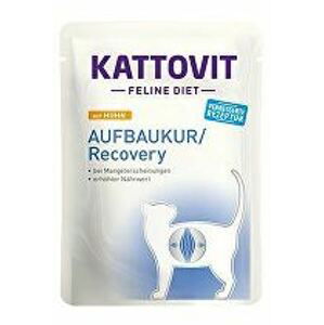 Kattovit Cat Recovery kuře kapsa 85g