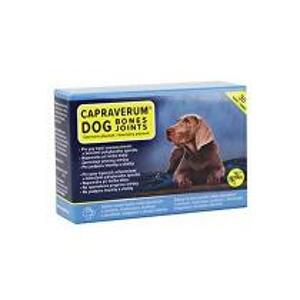 CAPRAVERUM DOG bones-joints 30tbl