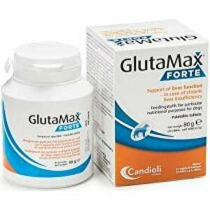 Glutamax forte 40tbl