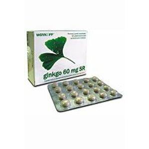 Ginkgo COMFORT SR 60mg 60tbl