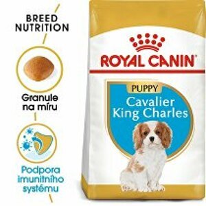 Royal Canin Breed Kavalír King Charles Junior  1,5kg