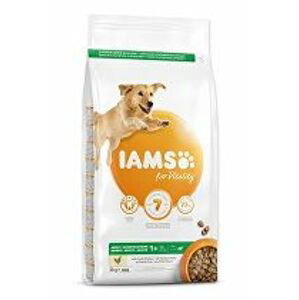 Iams Dog Adult Large Chicken 3kg