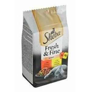 Sheba kapsa Fresh&Fine kuře a hovězí 6x50g