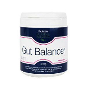 Protexin Gut Balancer pro koně 400g