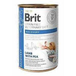 Brit VD Dog+Cat GF konz. Recovery 400g