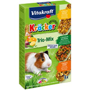 Vitakraft Rodent Guinea pig Kräcker honey/veg/citr 3ks