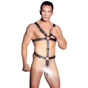 Postroj ZADO Harness