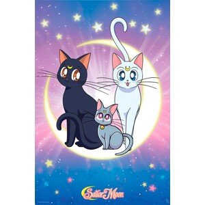 Plakát, Obraz - Sailor Moon - Luna, Artemis & Diana, (61 x 91.5 cm)