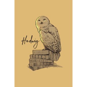 Umělecký tisk Harry Potter - Hedwig, (26.7 x 40 cm)