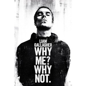 Plakát, Obraz - Liam Gallagher - Why Me Why Not, (61 x 91.5 cm)