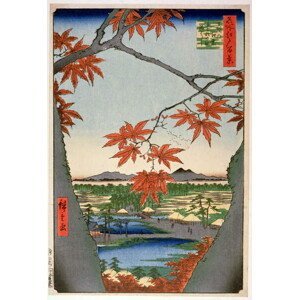 Hiroshige, Ando or Utagawa - Obrazová reprodukce Maples leaves at Mama, (26.7 x 40 cm)
