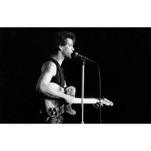 Umělecká fotografie Lou Reed, 1975, (40 x 24.6 cm)