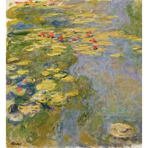 Monet, Claude - Obrazová reprodukce The Waterlily Pond, 1917-19 (oil on canvas), (35 x 40 cm)