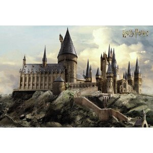 Umělecký tisk Harry Potter - Hogwarts, (40 x 26.7 cm)